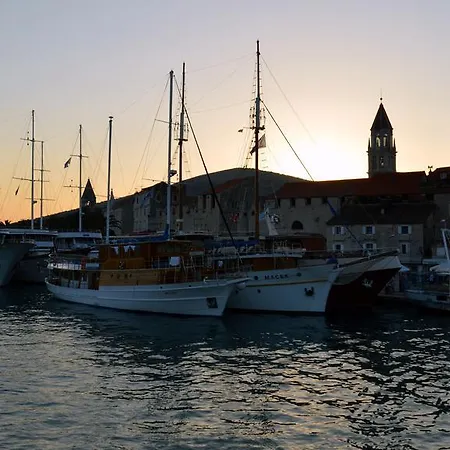 Lavanda טרוגיר
